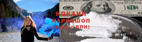 гидра Гусь-Хрустальный