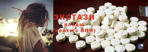 гидропоника Гусиноозёрск