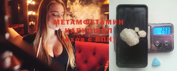гидра Гусь-Хрустальный