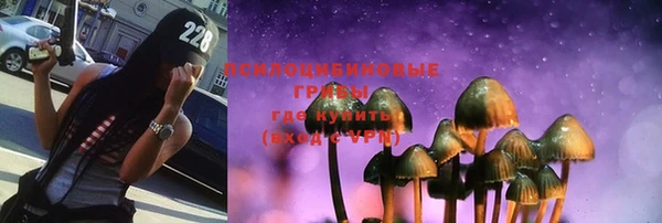 гидропоника Гусиноозёрск