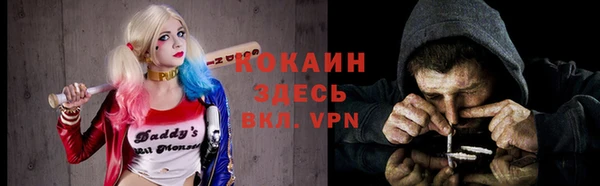 прущие крисы Гусев