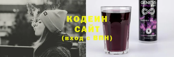 гидропоника Гусиноозёрск