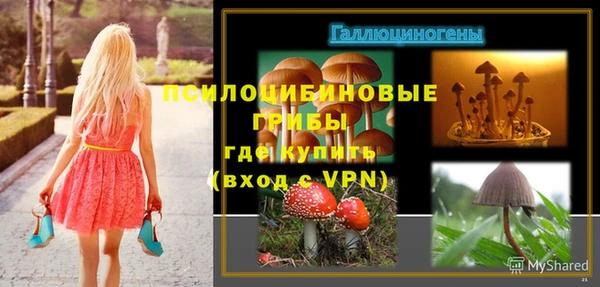 гидропоника Гусиноозёрск