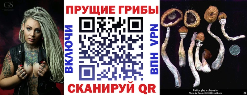 Псилоцибиновые грибы MAGIC MUSHROOMS  магазин  наркотиков  Северо-Курильск 