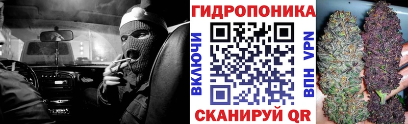 Канабис планчик  сколько стоит  Северо-Курильск 
